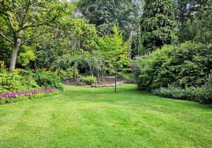 Optimiser l'expérience du jardin à Montigny-les-Arsures